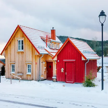 Holiday home Ferienhaeuser Im Harzresort Am Brocken, *
