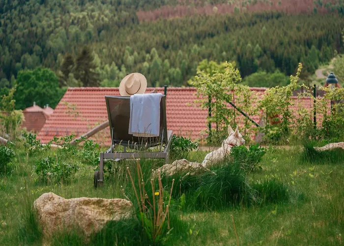 In Mit Garten Dom wakacyjny Schierke